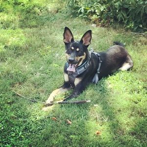 Meet your Posher, Meryl